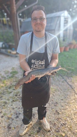 Harvested catfish